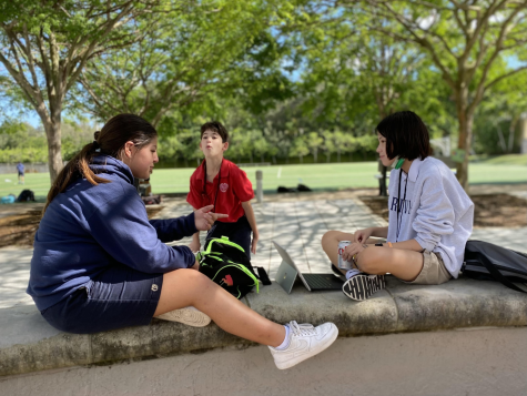 Three students gather at tree to study