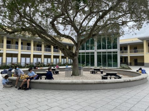 Wall surounding tree at the center of Riviera Prep Schools courtyard
