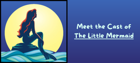 Cover image for Meet the Cast of the Little Mermaid 