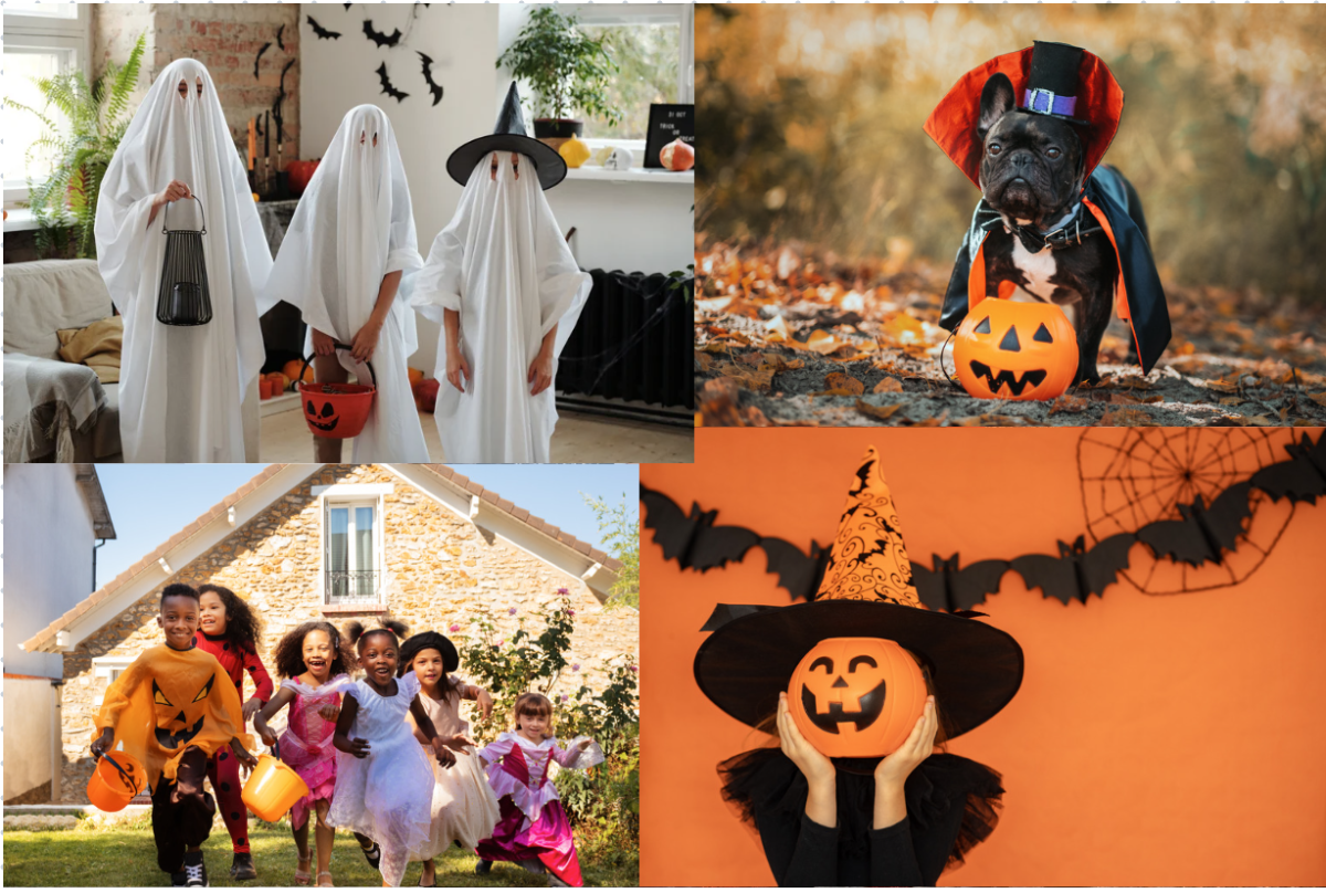 Dressing up in costumes is an essential part to the Halloween festivities. Whether it is an animal or an athlete, the outfits of Halloween help make this holiday so special.
