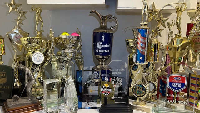 Some of the awards Danica has achieved over the years. 