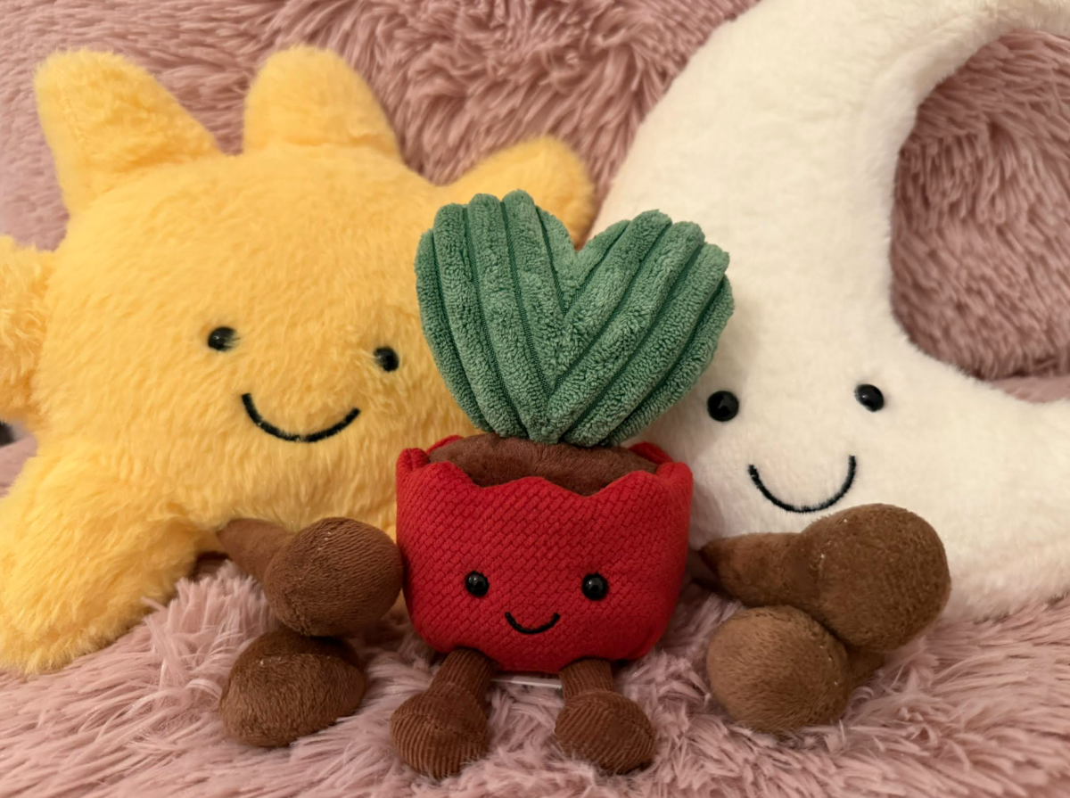 Jellycat exchanges are take TikTok by storm, above are three of the cute jellycat given during a Secret Santa and Galentine's event.