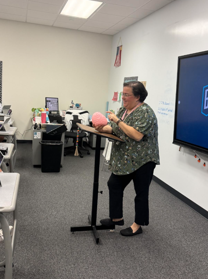AP Psychology teacher Maria Palomo teaches to her students how the brain can influence many parts of your life including movie preference. "Fear, thrill, seeking factor in the horror movie that you don't necessarily have in the winter/holiday genre. The two different genres evoke different feelings, " said Palomo. 