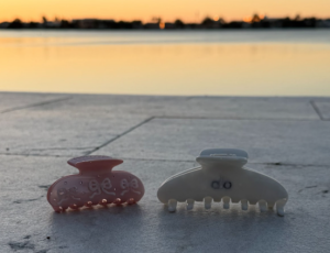 Emi Jay and Alo hair clips sit side by side, representing the growing debate among teens over style, identity and everyday fashion trends.