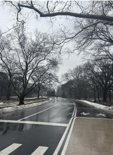 Snow covers streets and sidewalks in New York City after a powerful winter storm disrupted transportation across the region.